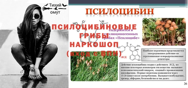 спиды Липки