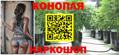 гидропоника Новодвинск