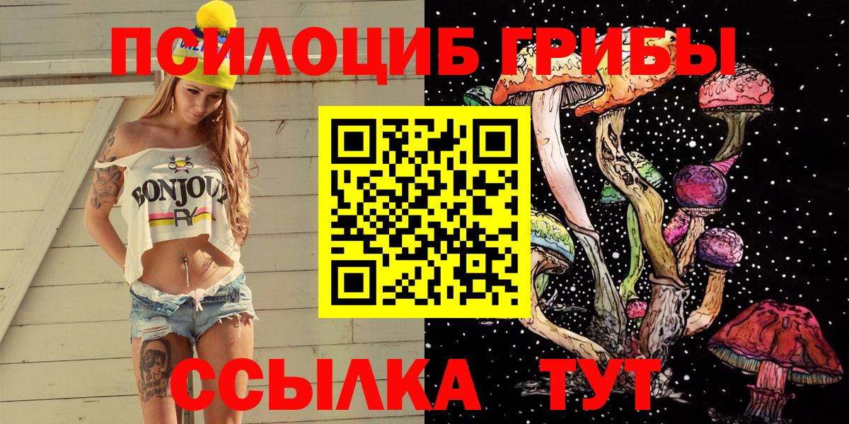 Черняховск  где продают   Вход с VPN  Псилоцибиновые грибы Magic Shrooms 