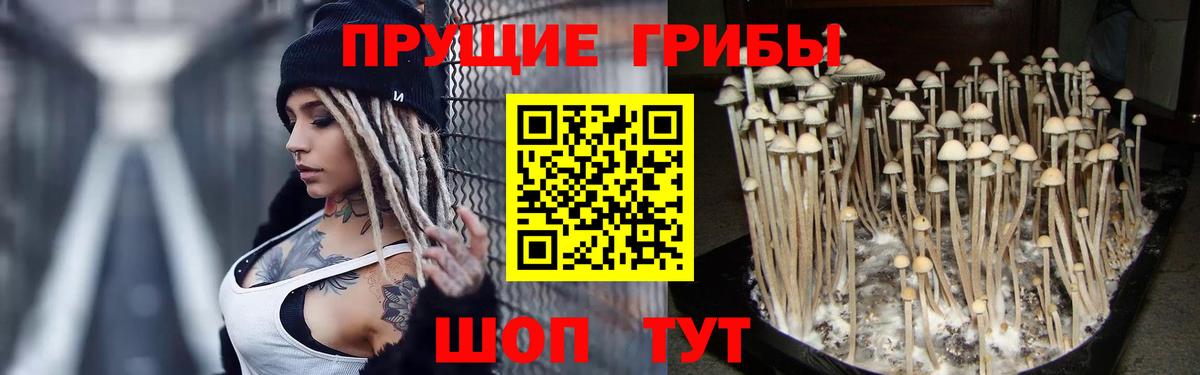 Галлюциногенные грибы Magic Shrooms Черняховск