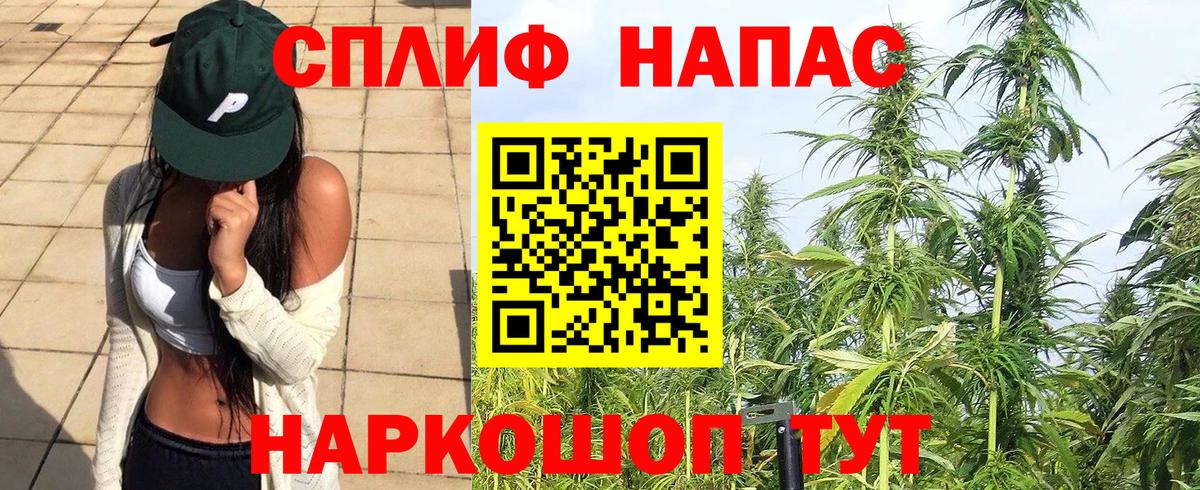 Конопля семена  Бошки марихуана планчик  МАРИХУАНА MAZAR  Вход с VPN  Черняховск  МАРИХУАНА семена 